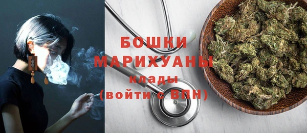 сатива Арсеньев