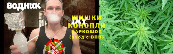 сатива Арсеньев
