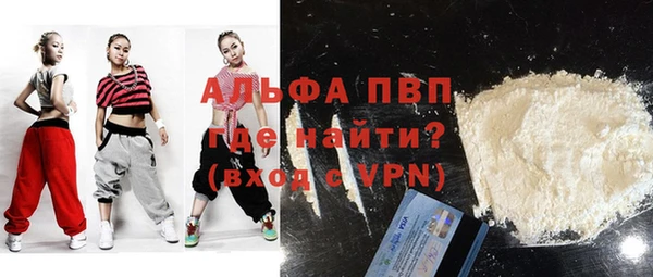 хмурый Ельня