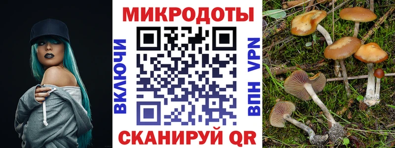 Галлюциногенные грибы прущие грибы  Серафимович 